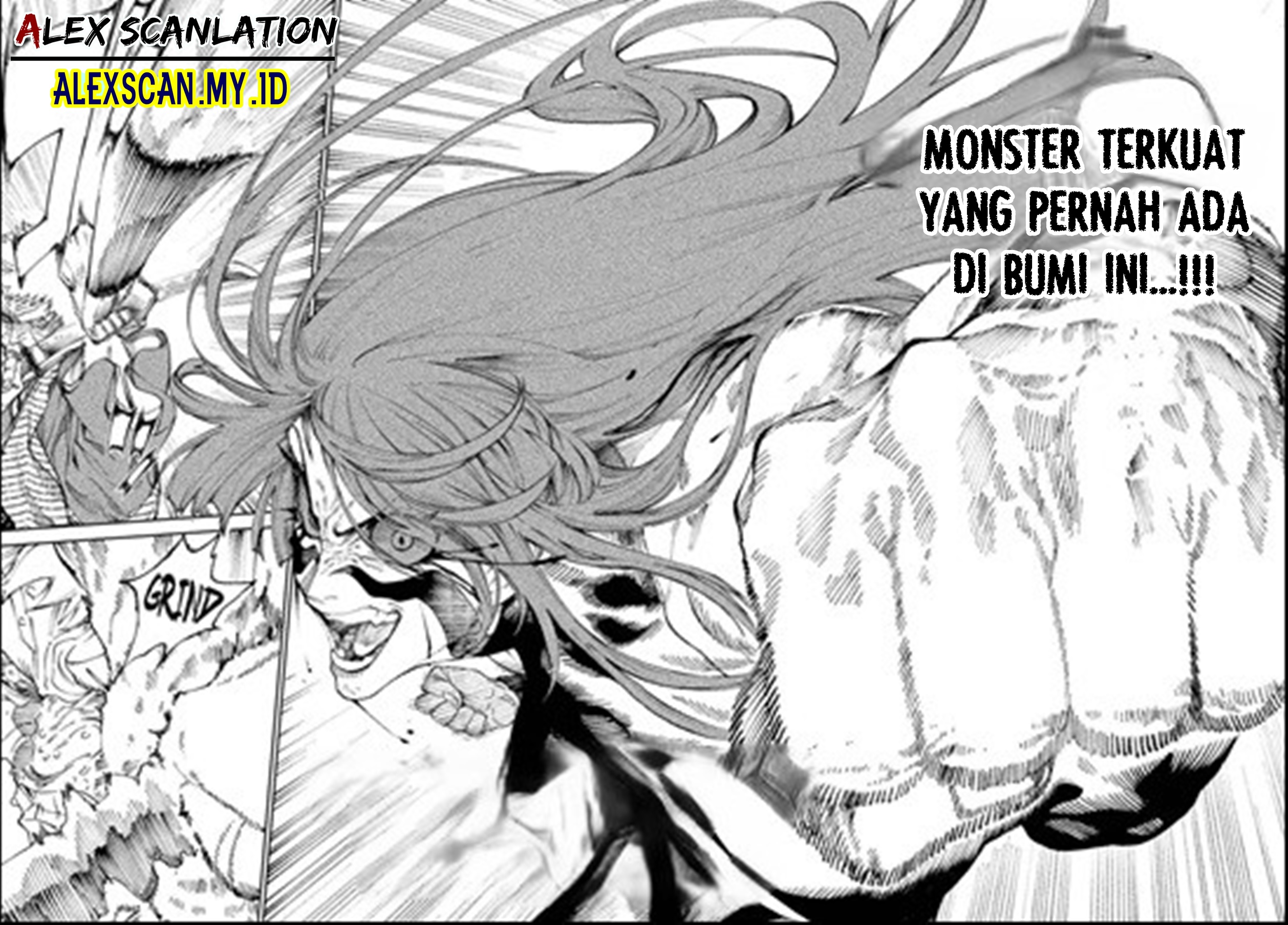 Tenkaichi: Nihon Saikyou Bugeisha Ketteisen Chapter 11 - halaman 13