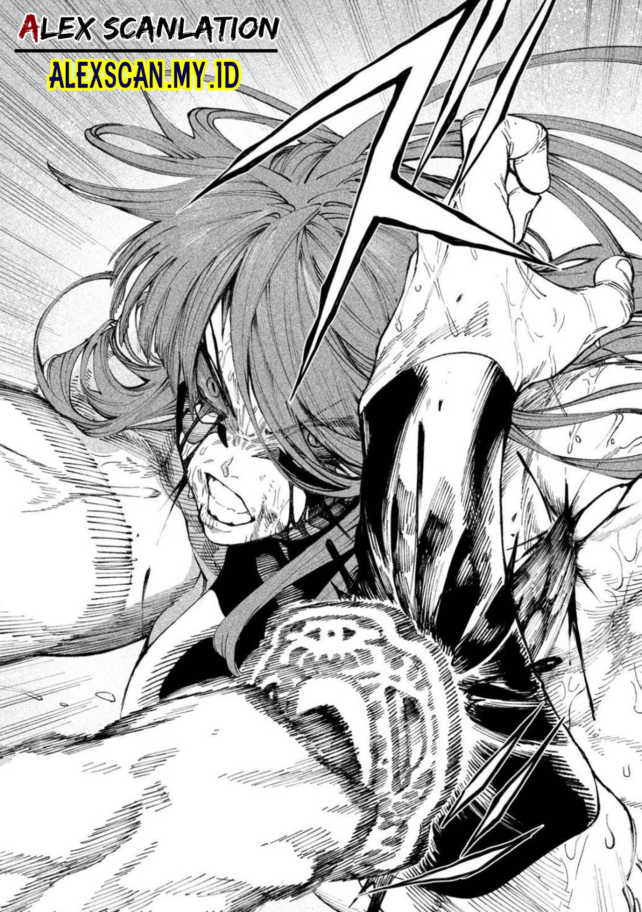Tenkaichi: Nihon Saikyou Bugeisha Ketteisen Chapter 12 - halaman 19
