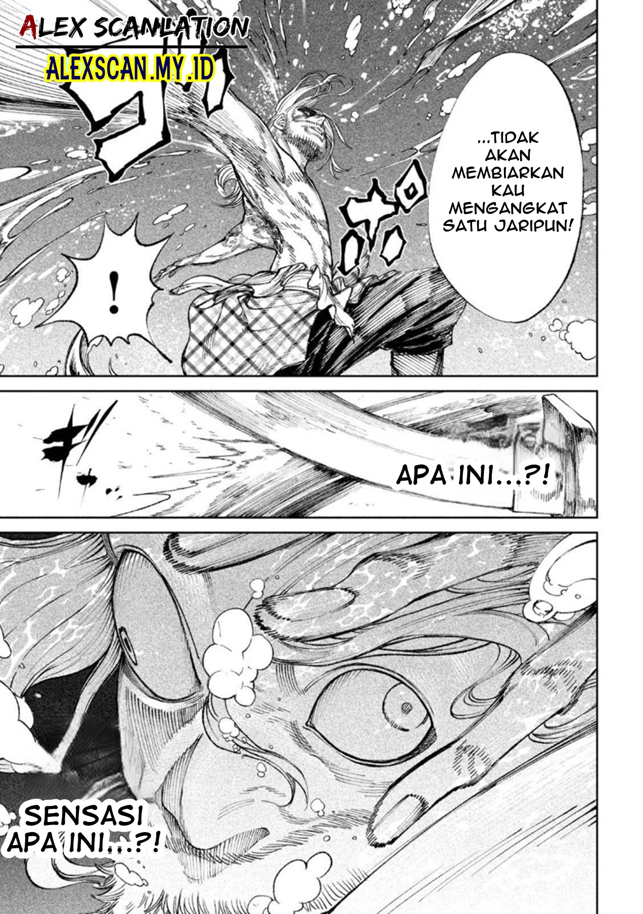 Tenkaichi: Nihon Saikyou Bugeisha Ketteisen Chapter 15 - halaman 30