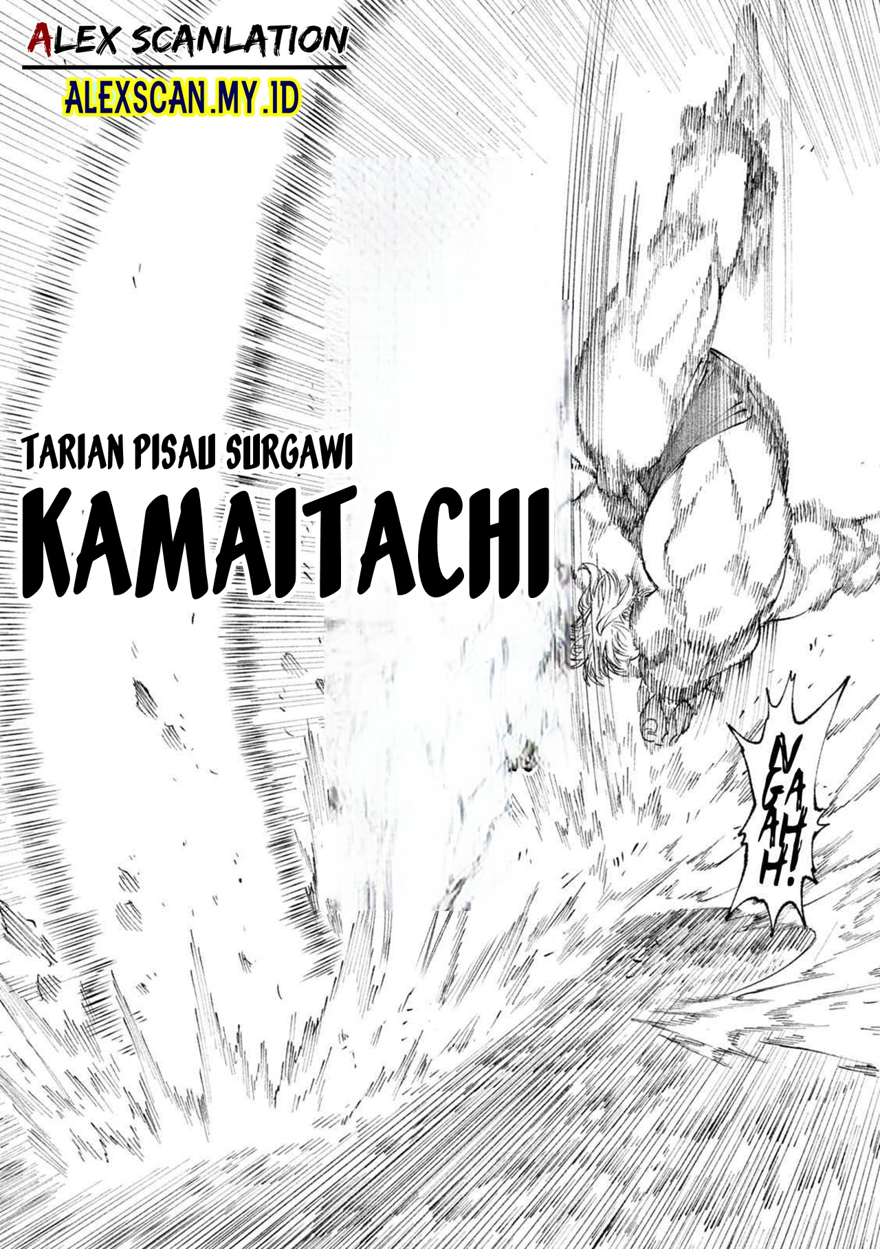 Tenkaichi: Nihon Saikyou Bugeisha Ketteisen Chapter 20 - halaman 44