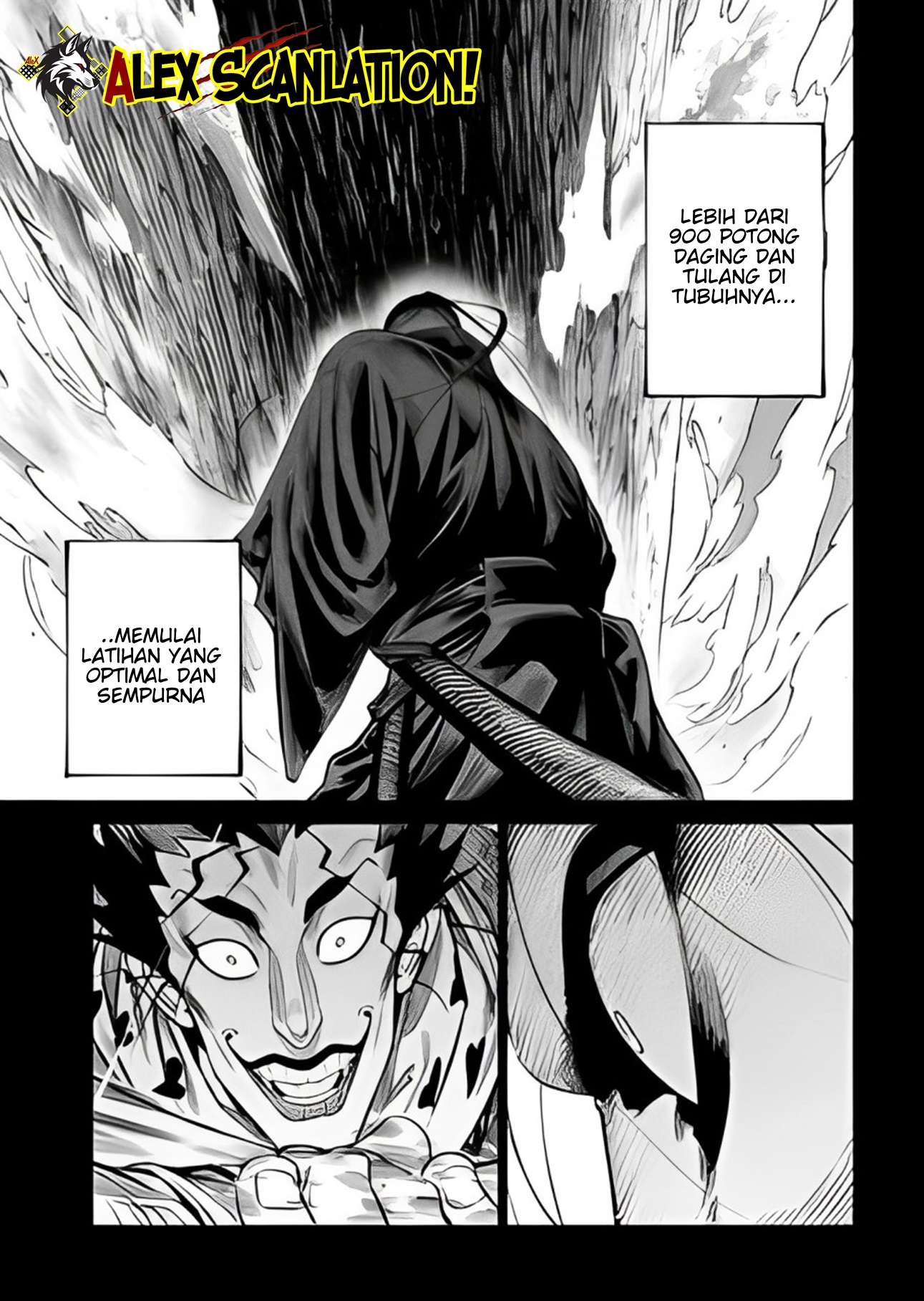 Tenkaichi: Nihon Saikyou Bugeisha Ketteisen Chapter 43 - halaman 11
