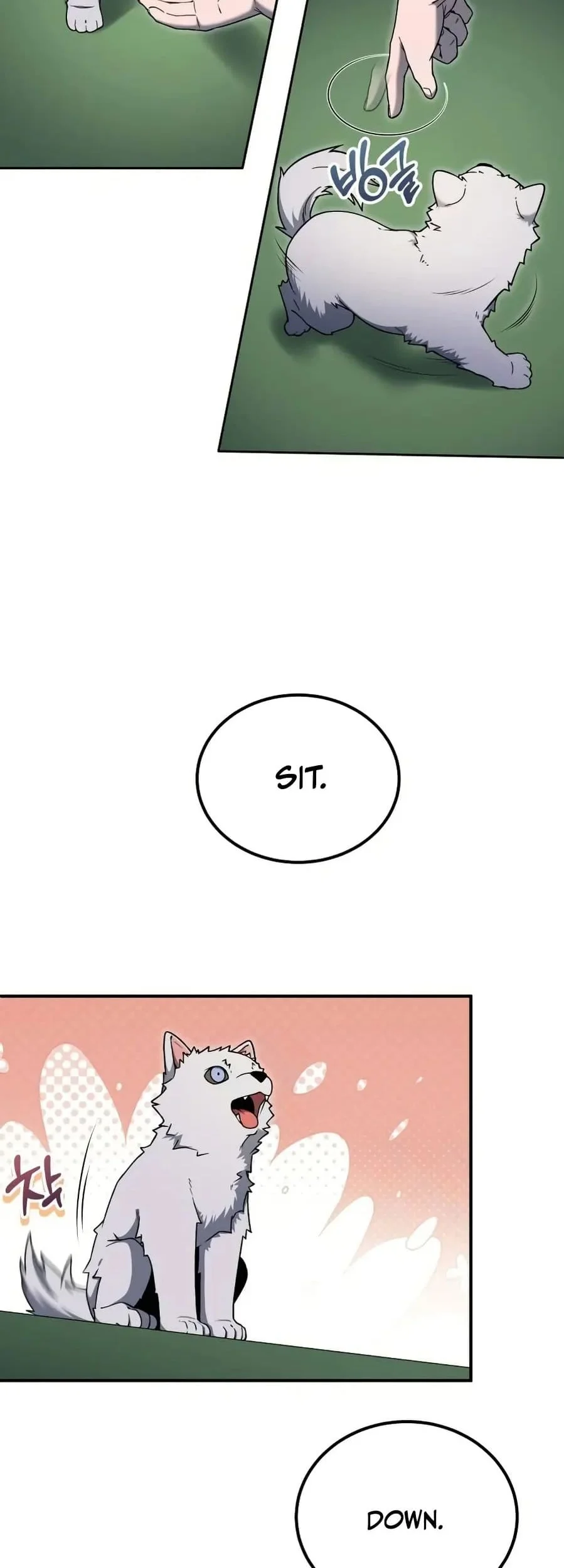 The Apocalypse's Ultimate Veteran Chapter 11 - halaman 5