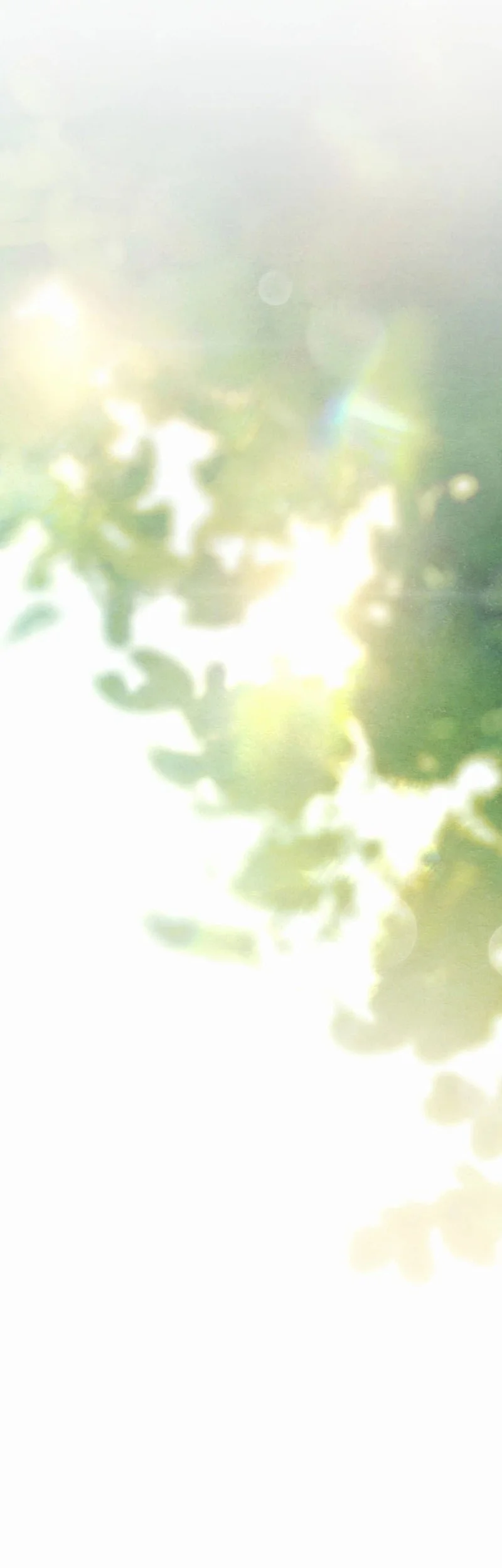 The Artist Who Paints Dungeon Chapter 17 - halaman 43