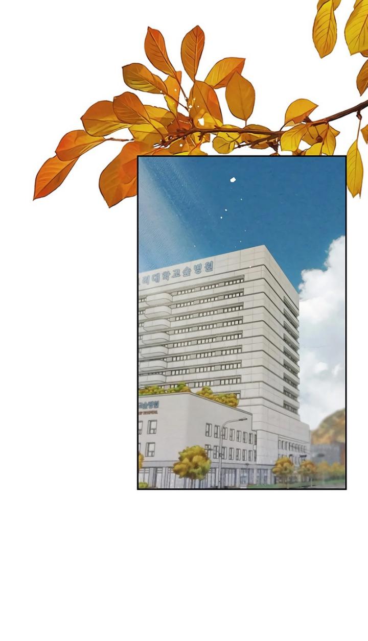 The Black-Haired British Doctor Chapter 1 - halaman 14