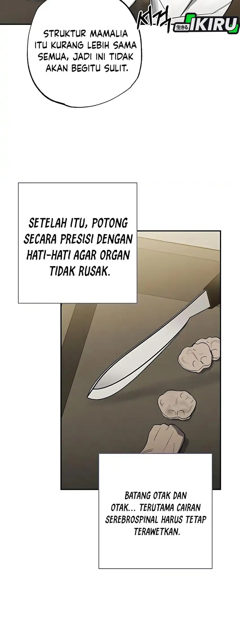 The Black-Haired British Doctor Chapter 38 - halaman 32