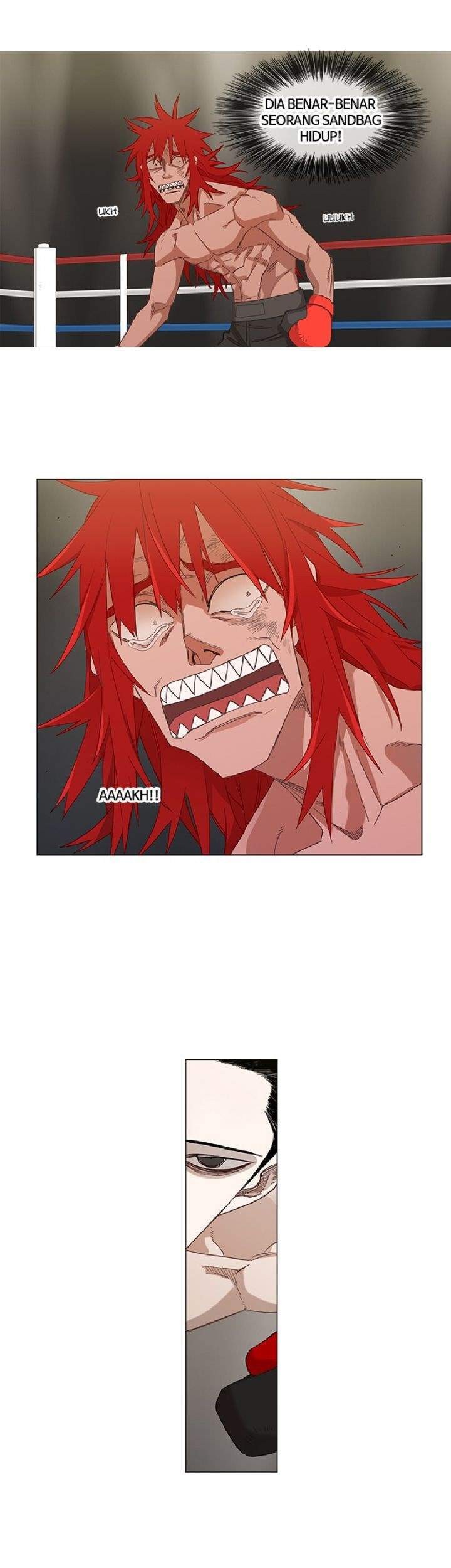 The Boxer Chapter 23 - halaman 14