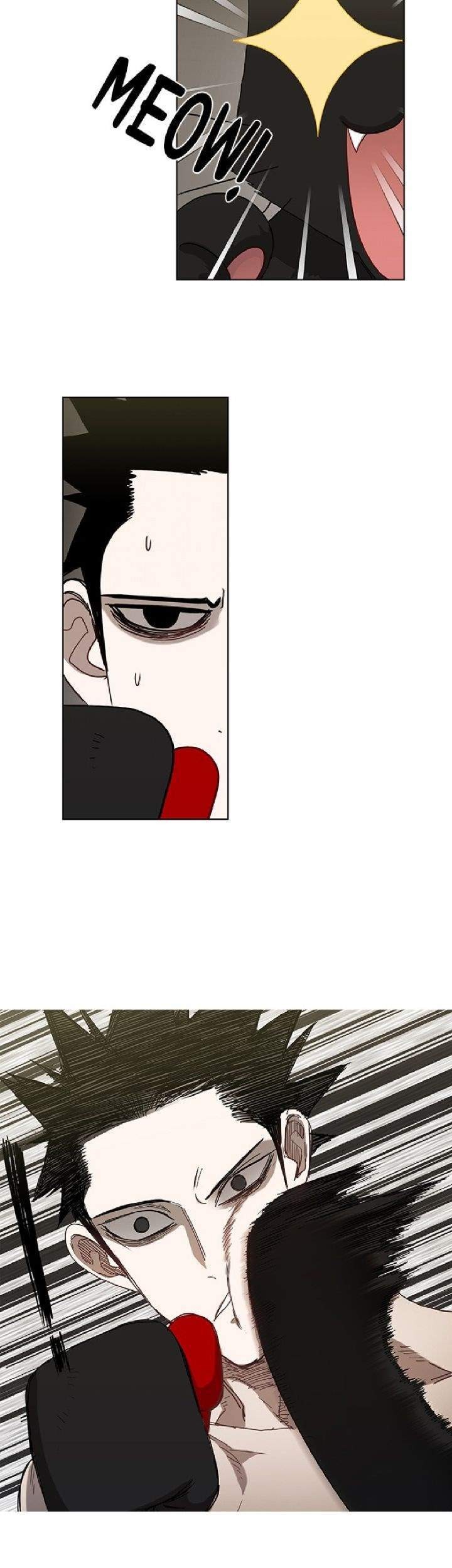 The Boxer Chapter 24 - halaman 5