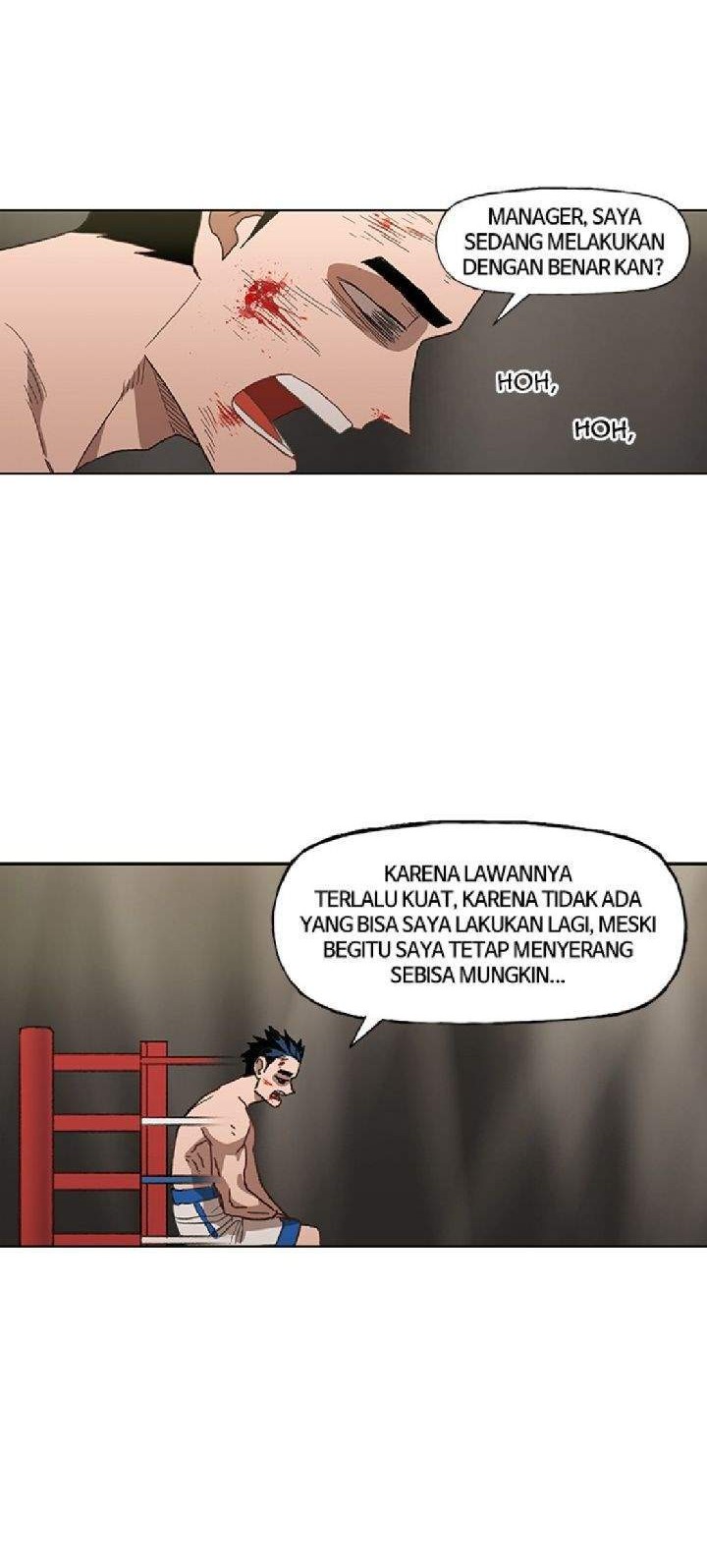 The Boxer Chapter 50 - halaman 4