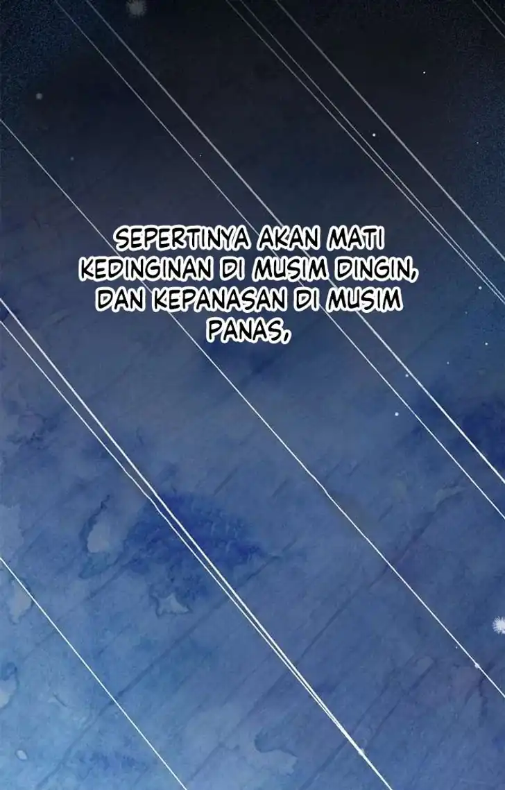 The Count's Secret Maid Chapter 50 - halaman 75