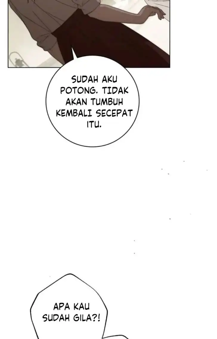 The Count's Secret Maid Chapter 53 - halaman 39