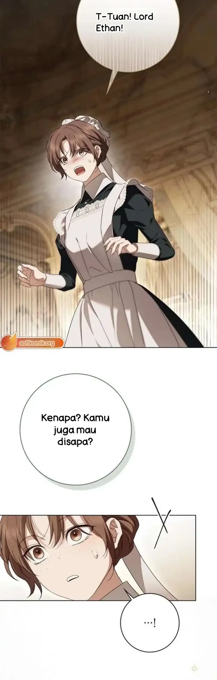 The Count's Secret Maid Chapter 87 - halaman 14