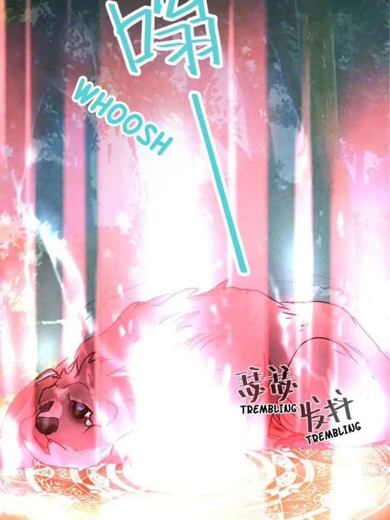 The Crazy Adventures of Mystical Doctor Chapter 69 - halaman 13