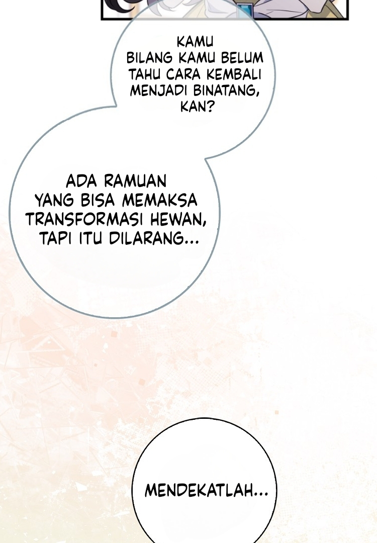 The Crazy Killer Whale’s Favourite Penguin Chapter 12 - halaman 62