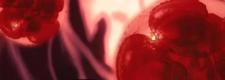 The Crown Prince That Sells Medicine Chapter 78 - halaman 61