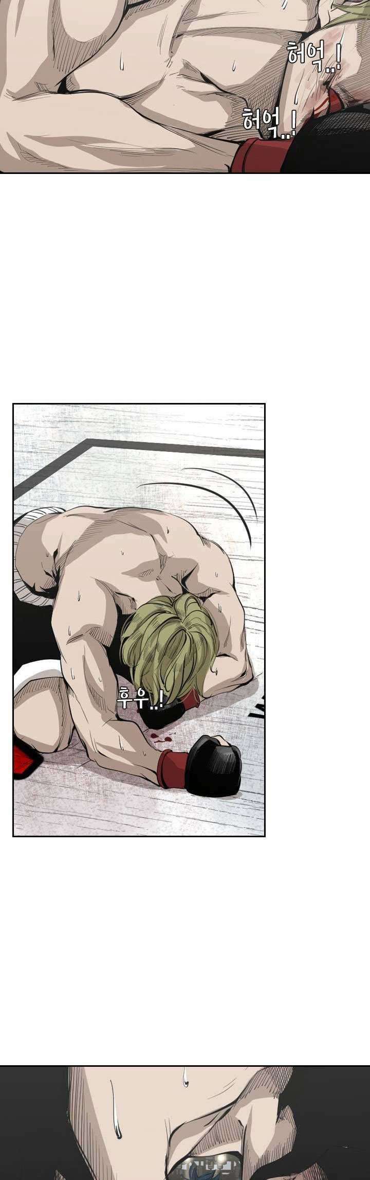 The Cuckoo’s Fiancee Chapter 284 - halaman 10