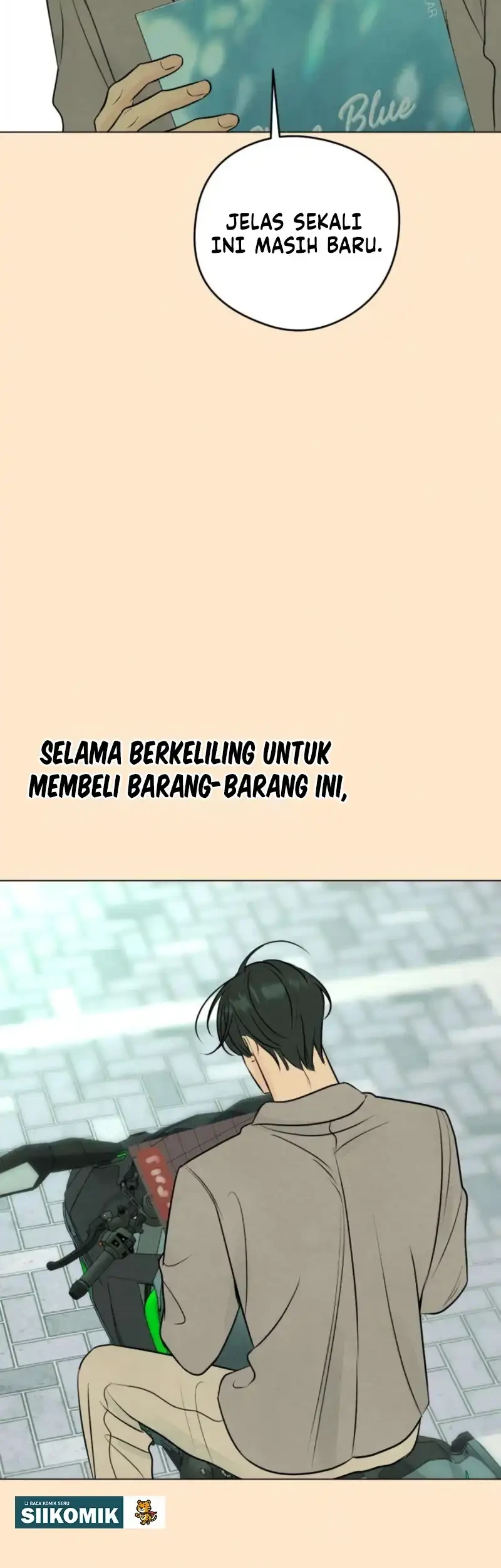 The Delinquent’s First Love Chapter 15 - halaman 13