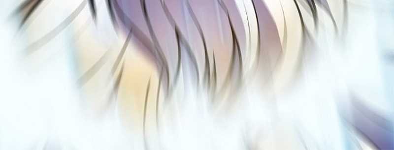 The Flag Bearer Warrior Chapter 50 - halaman 11