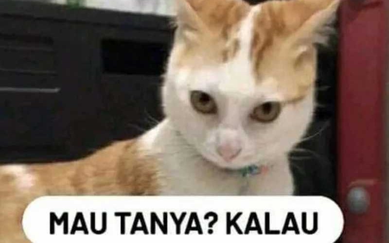 The Game’s Greatest Troll Chapter 73 - halaman 124