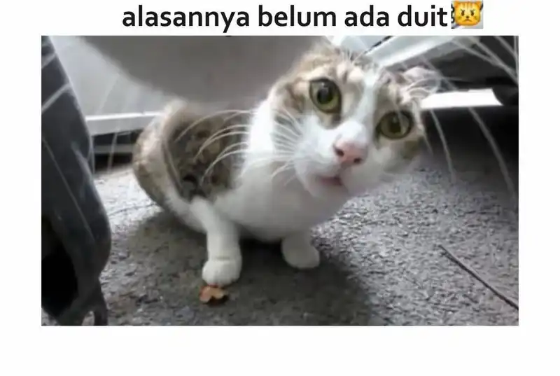 The Heavenly Path Is Not Stupid Chapter 132 - halaman 55