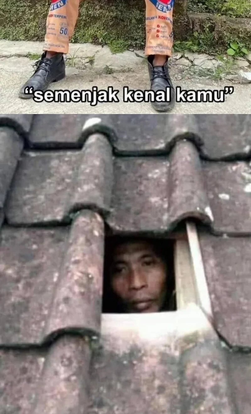 The Heavenly Path Is Not Stupid Chapter 155 - halaman 59