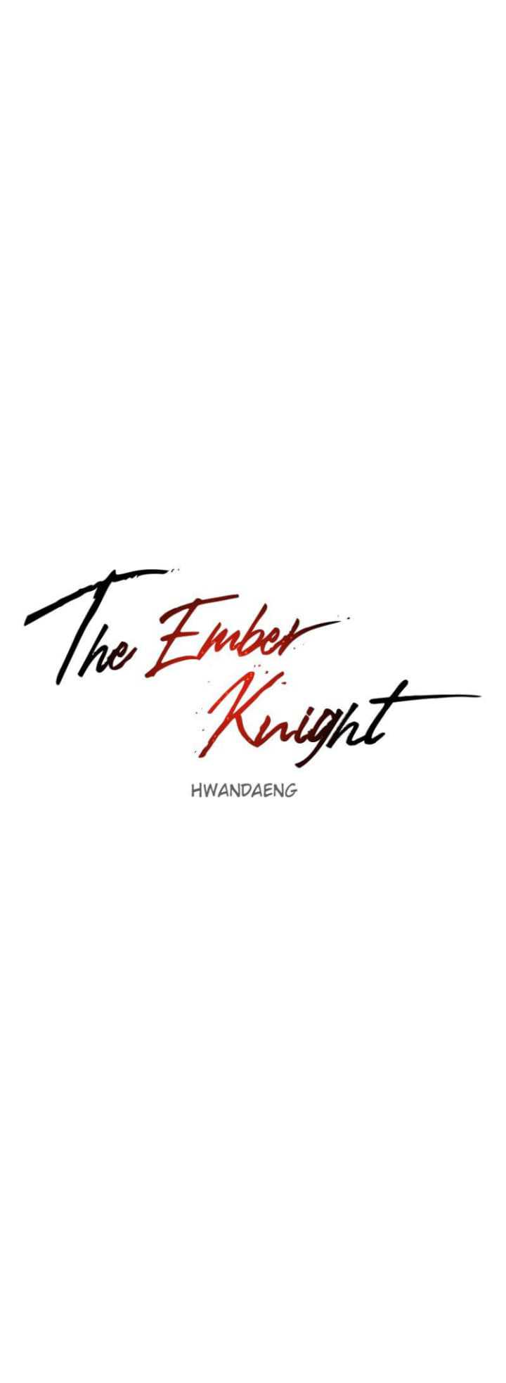 The Last Knight Of The Fire Chapter 29 - halaman 13