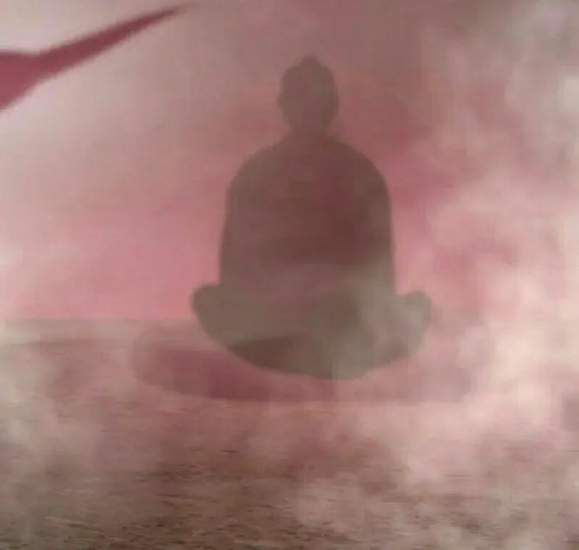 The Life After God Of Martial Lived In Seclusion Chapter 113 - halaman 11