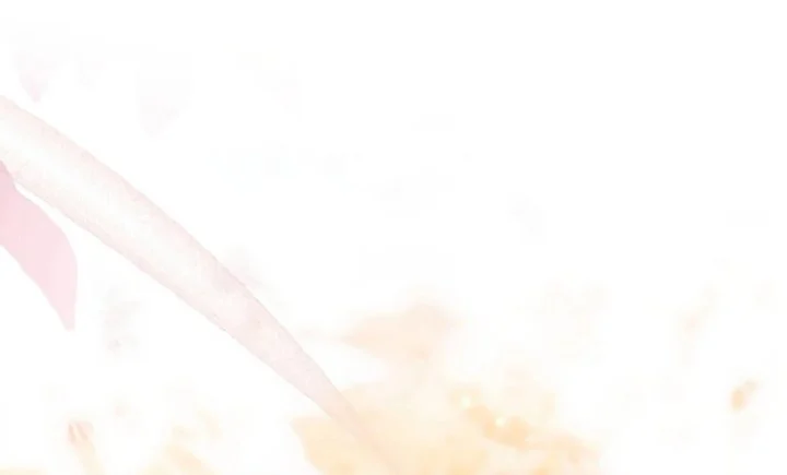 The Male Lead's Little Lion Daughter Chapter 136 - halaman 202