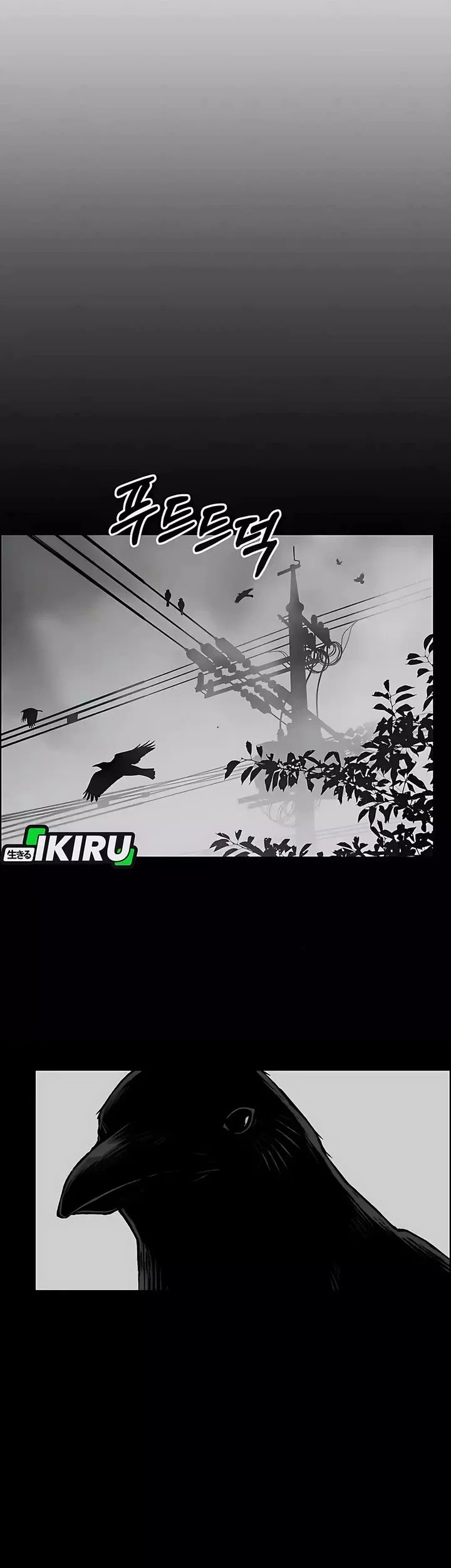 The Man Chapter 247 - halaman 8