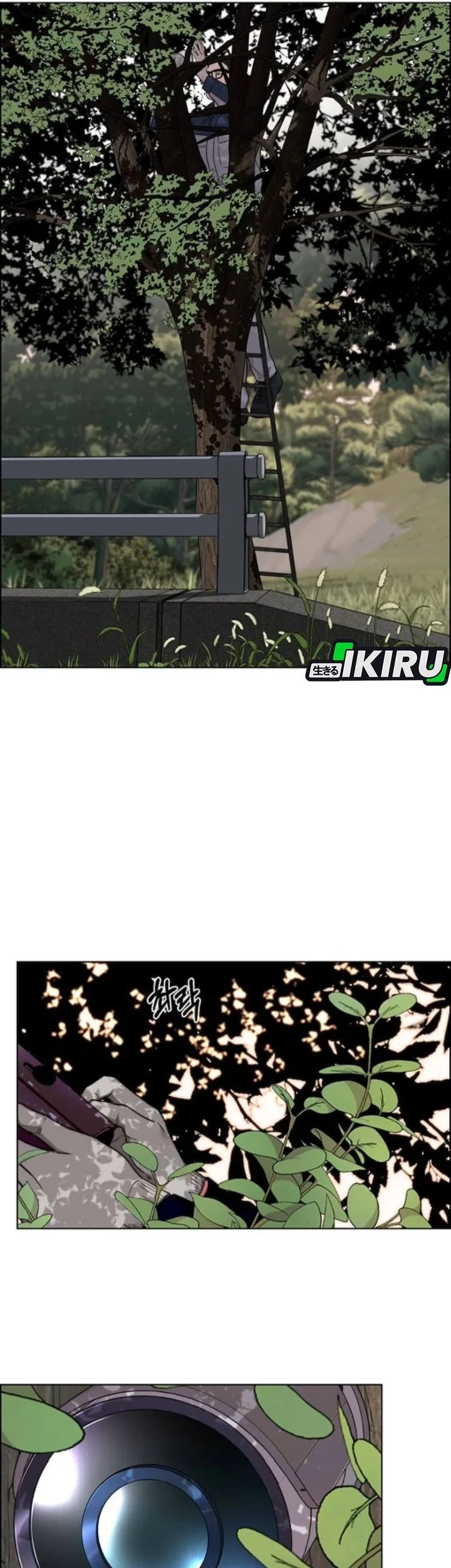 The Man Chapter 259 - halaman 19