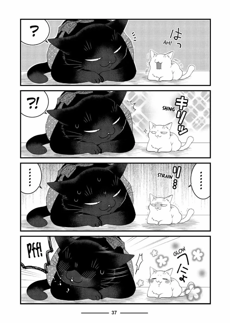 The Masterful Cat is Depressed Again Today Chapter 74 - halaman 5