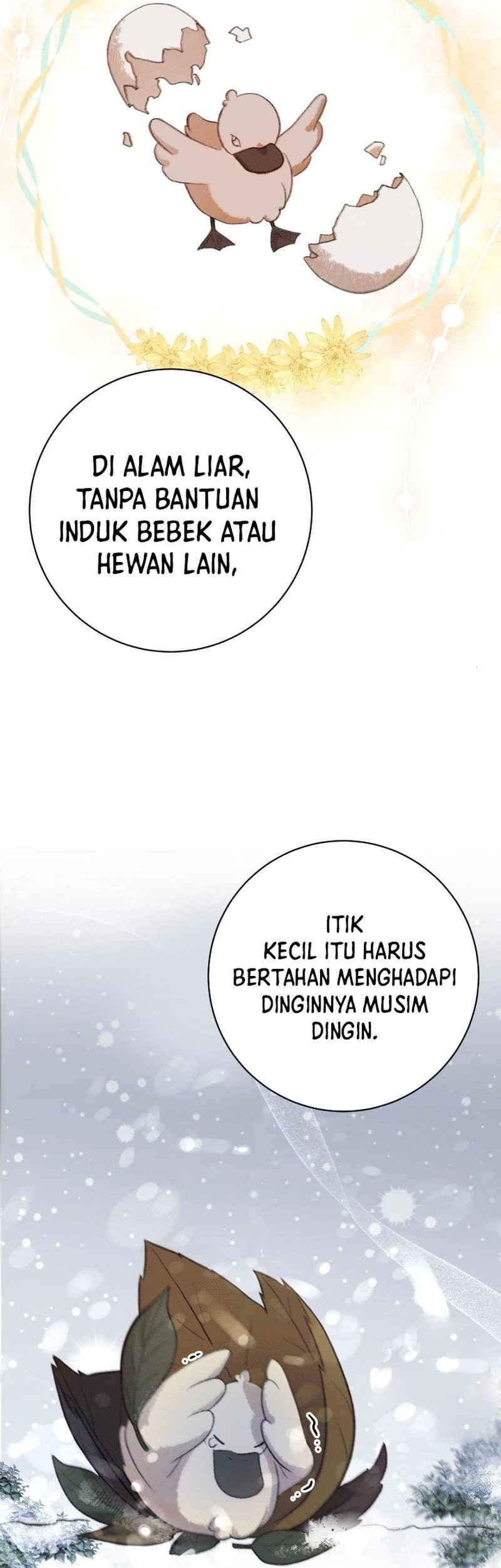 The Miraculous Physical Therapist Chapter 64 - halaman 60