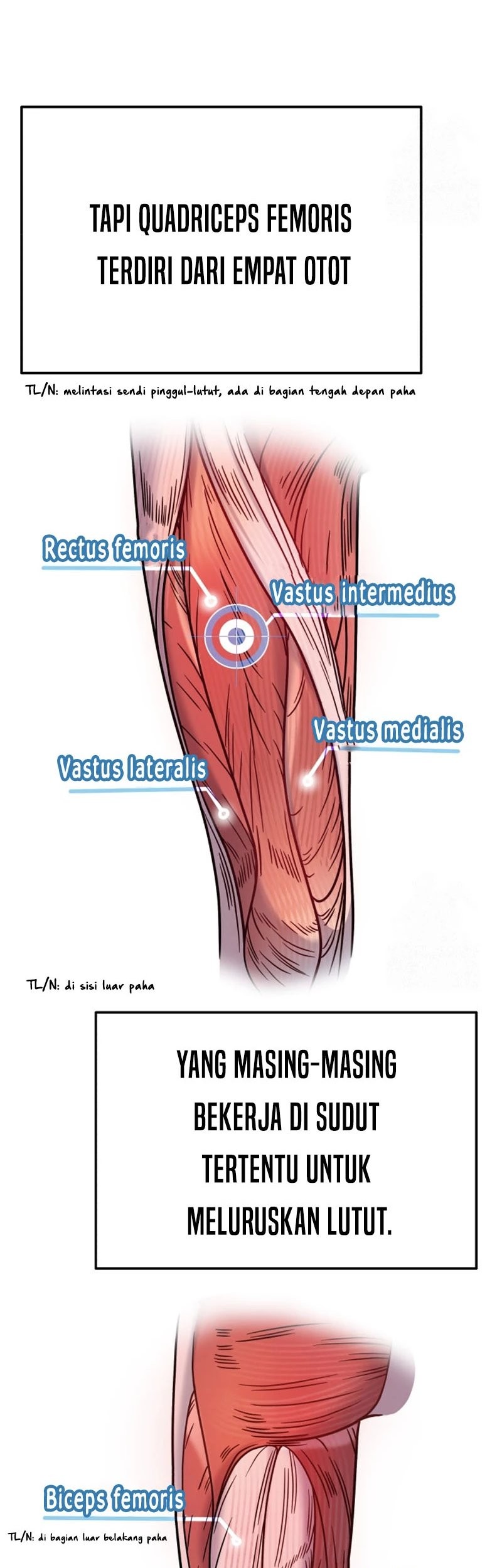 The Miraculous Physical Therapist Chapter 72 - halaman 22