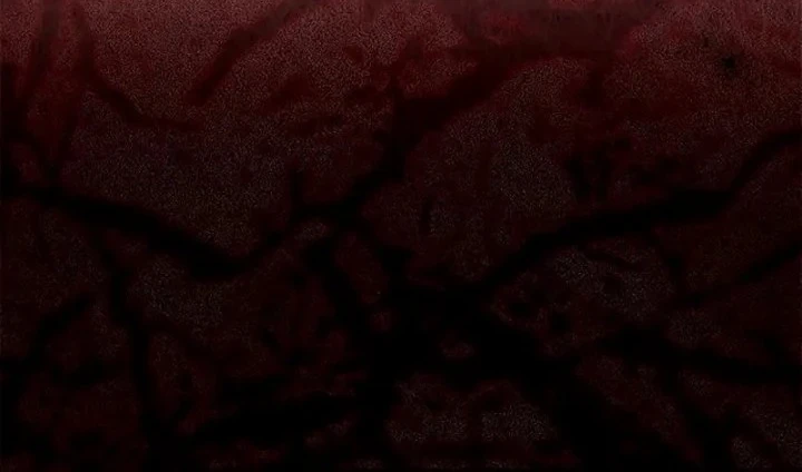 The Necromancer Family's Young Heir Chapter 65 - halaman 41