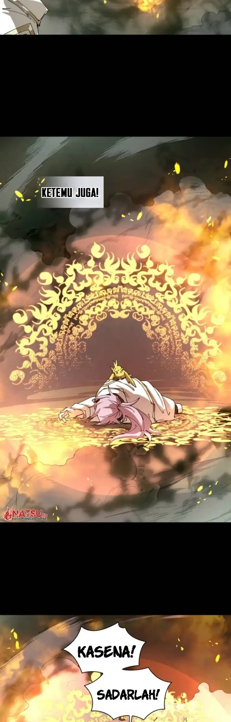 The Rebirth of the Hero’s Party’s Archmage Chapter 145 - halaman 24