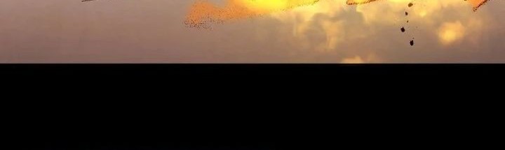 The Rebirth of the Hero’s Party’s Archmage Chapter 78 - halaman 16