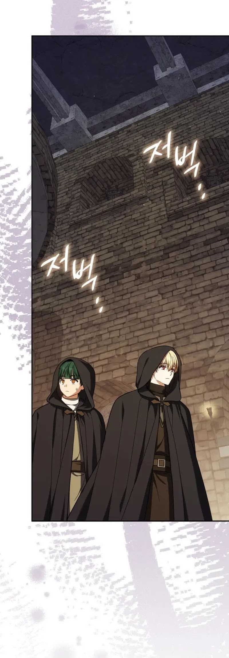 The Reincarnated Assassin is a Genius Swordsman Chapter 58 - halaman 12