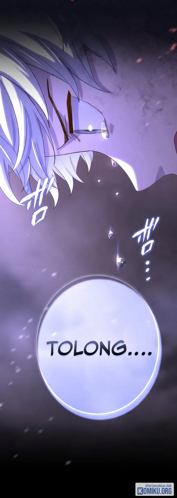 The Reincarnation of the Forbidden Archmage Chapter 131 - halaman 41