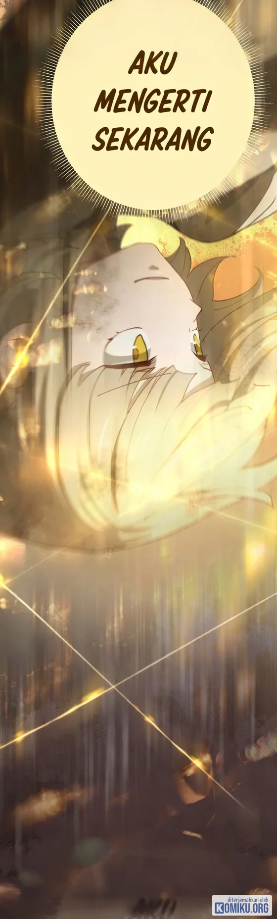 The Reincarnation of the Forbidden Archmage Chapter 134 - halaman 58