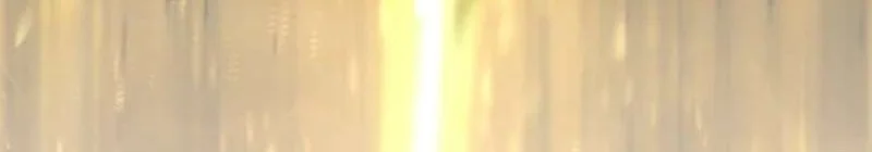 The Reincarnation of the Forbidden Archmage Chapter 167 - halaman 24