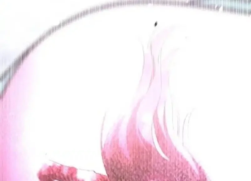 The Returned C-Rank Tank Won't Die! Chapter 39 - halaman 38
