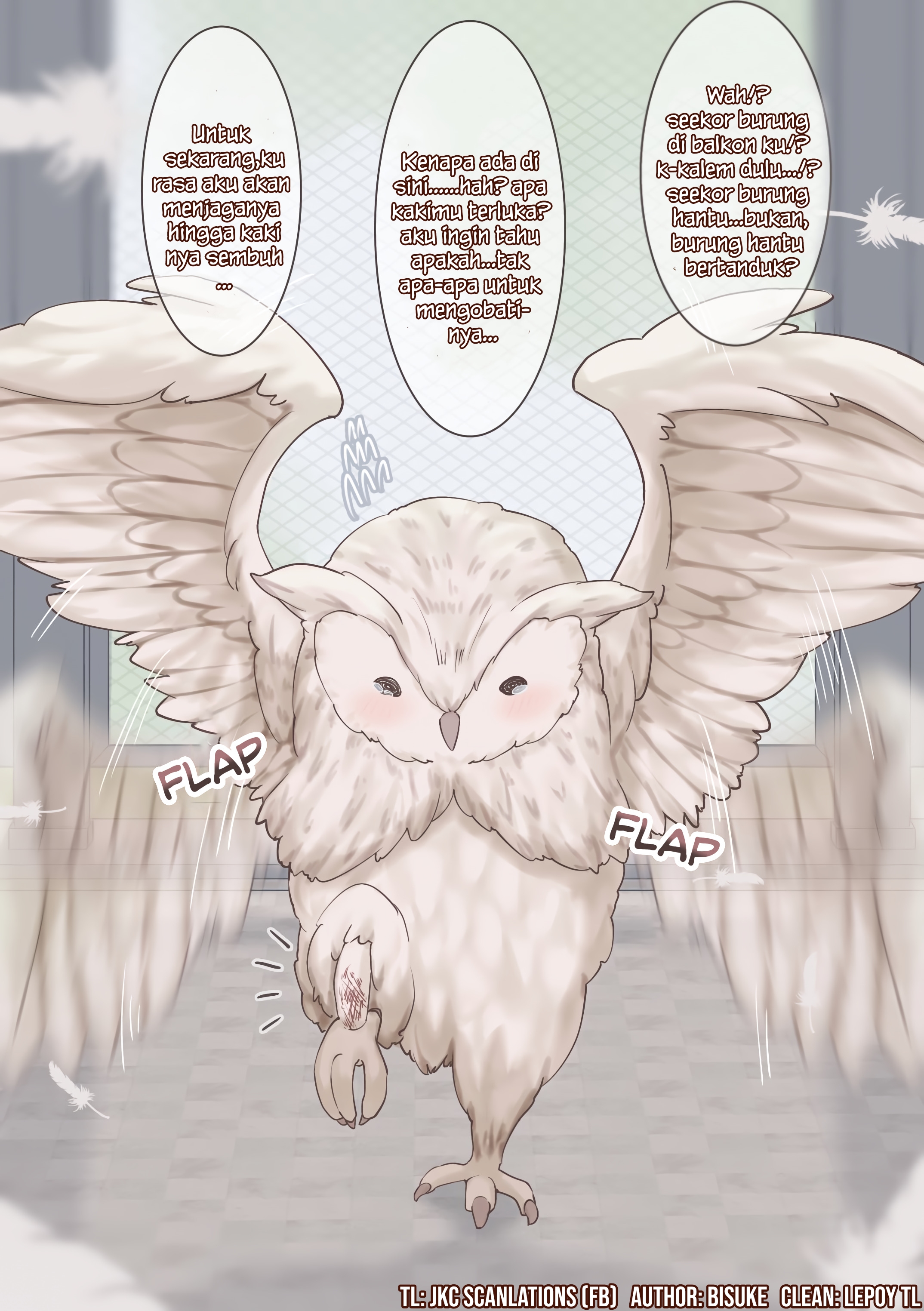 The Story of How The Horned Owl I Rescued Turned Into a Girl Chapter 1 - halaman 1