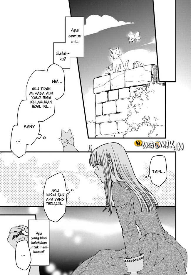 The Vengeful White Cat Lounging on the Dragon King’s Lap Chapter 11 - halaman 14