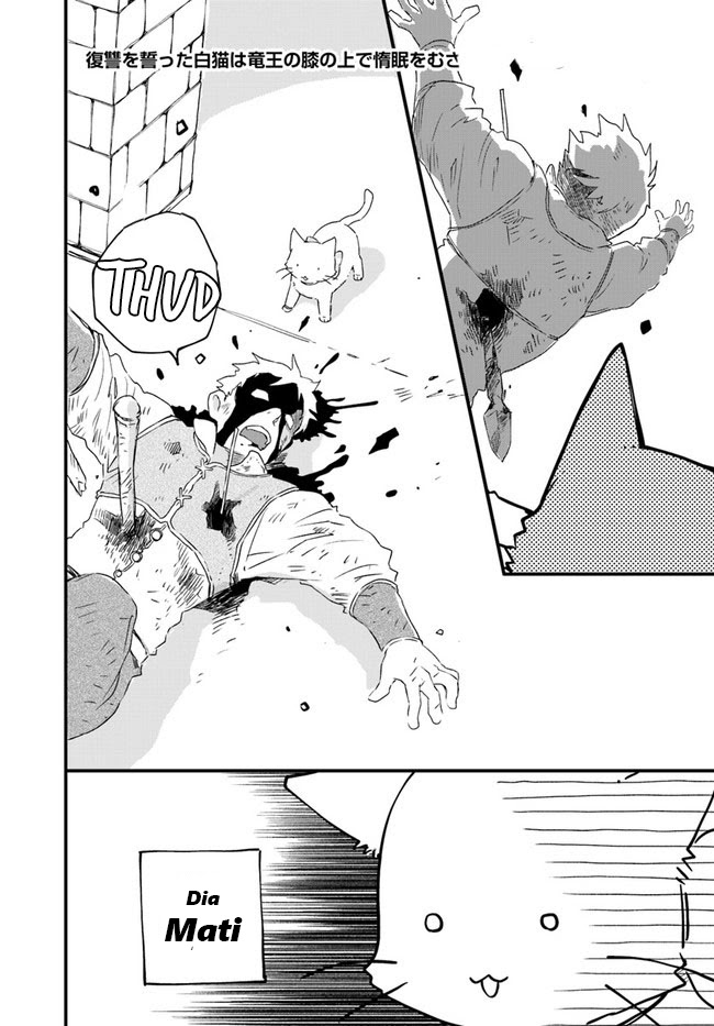 The Vengeful White Cat Lounging on the Dragon King’s Lap Chapter 14 - halaman 25