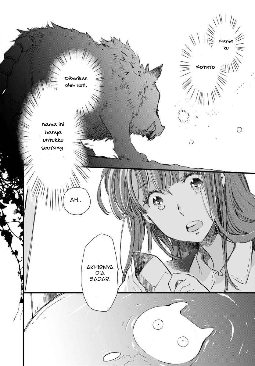 The Vengeful White Cat Lounging on the Dragon King’s Lap Chapter 15 - halaman 11