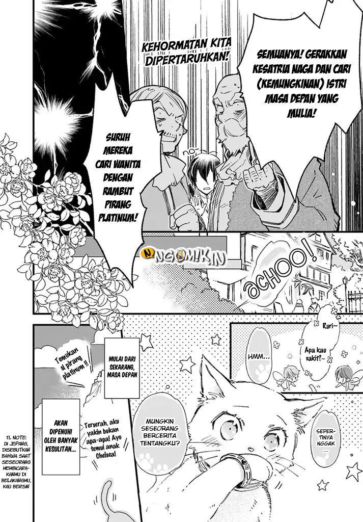 The Vengeful White Cat Lounging on the Dragon King’s Lap Chapter 6 - halaman 29