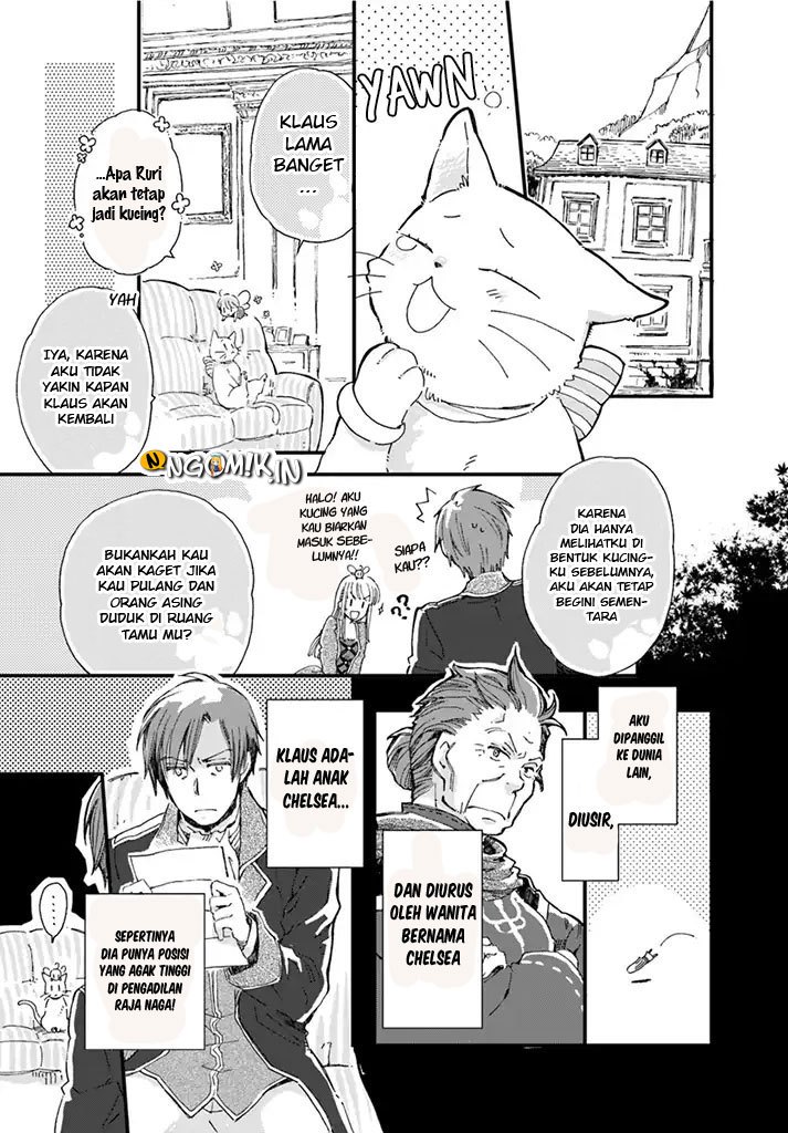 The Vengeful White Cat Lounging on the Dragon King’s Lap Chapter 7 - halaman 4