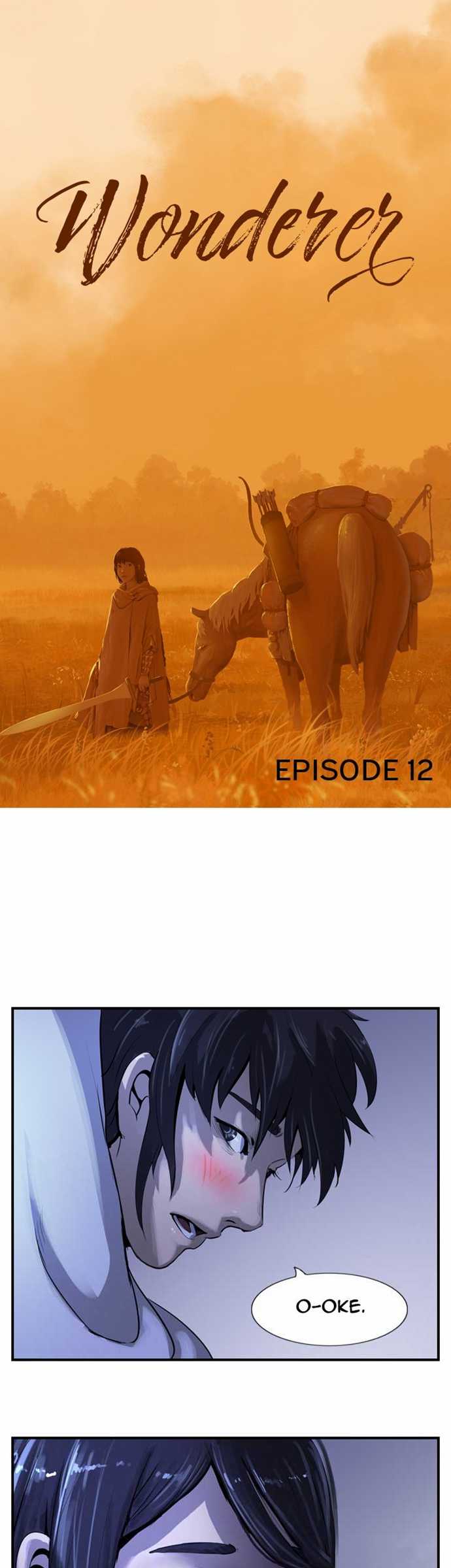 The Wanderer Chapter 12 - halaman 11