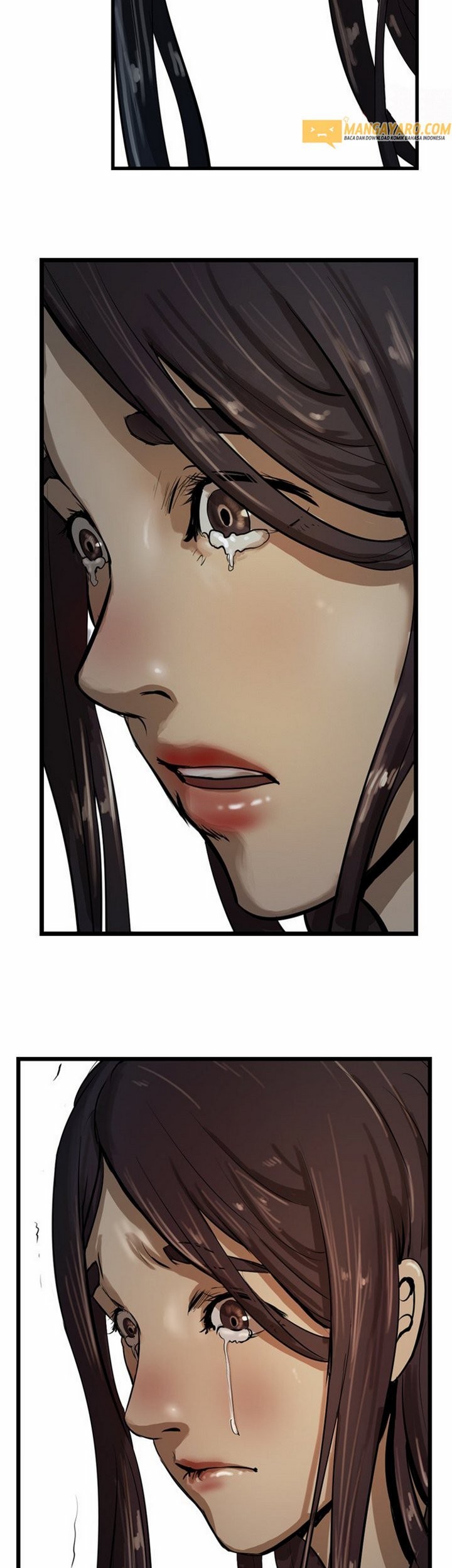 The Wanderer Chapter 26.2 - halaman 16