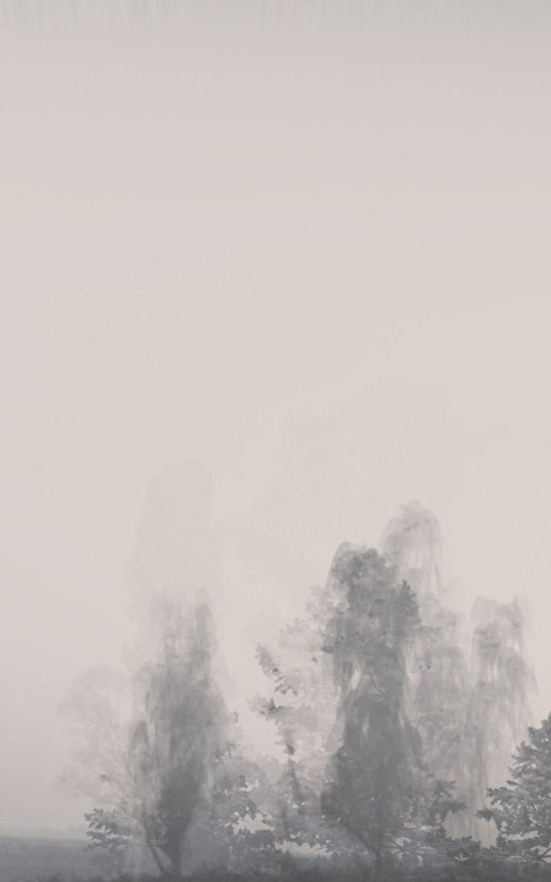 The Wanderer Chapter 29 - halaman 8