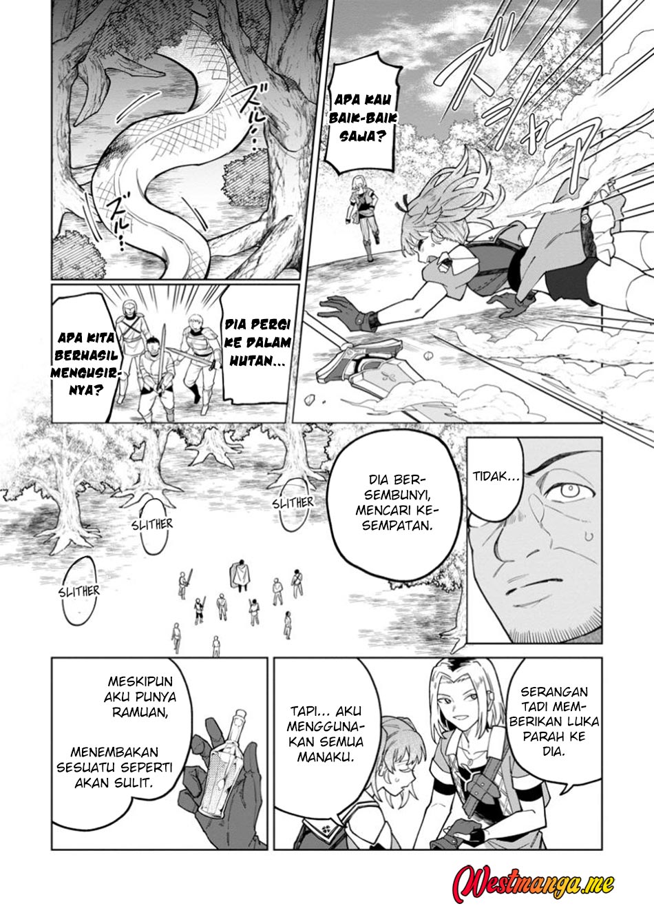 The White Mage Who Was Banished From the Hero’s Party Is Picked up by an S Rank Adventurer ~ This White Mage Is Too Out of the Ordinary! Chapter 43 - halaman 10